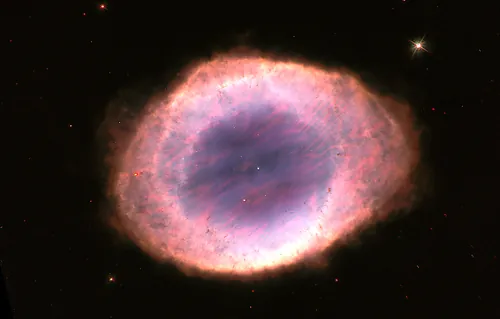 Shrimp-vision colour interpretation of the Ring Nebula