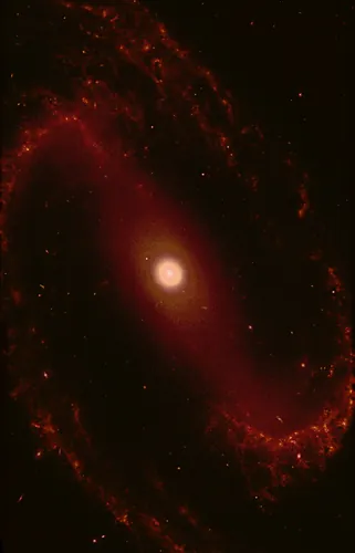 Processed image of barred spiral galaxy NGC 1300